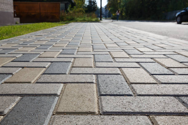 Best Professional Driveway Pavers  in Dillon, SC